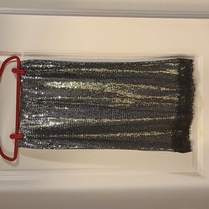 Zara Silver Sequin Skirt with Lace Hem